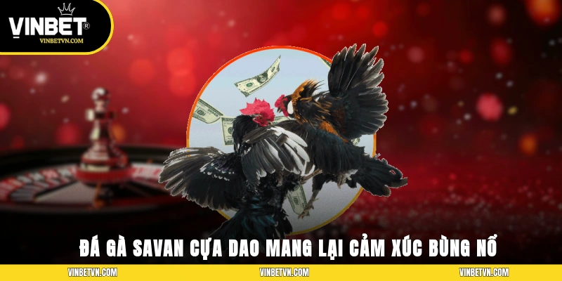 Đá Gà Savan – Sới Đấu Quốc Tế, Kèo Cược Siêu Hấp Dẫn